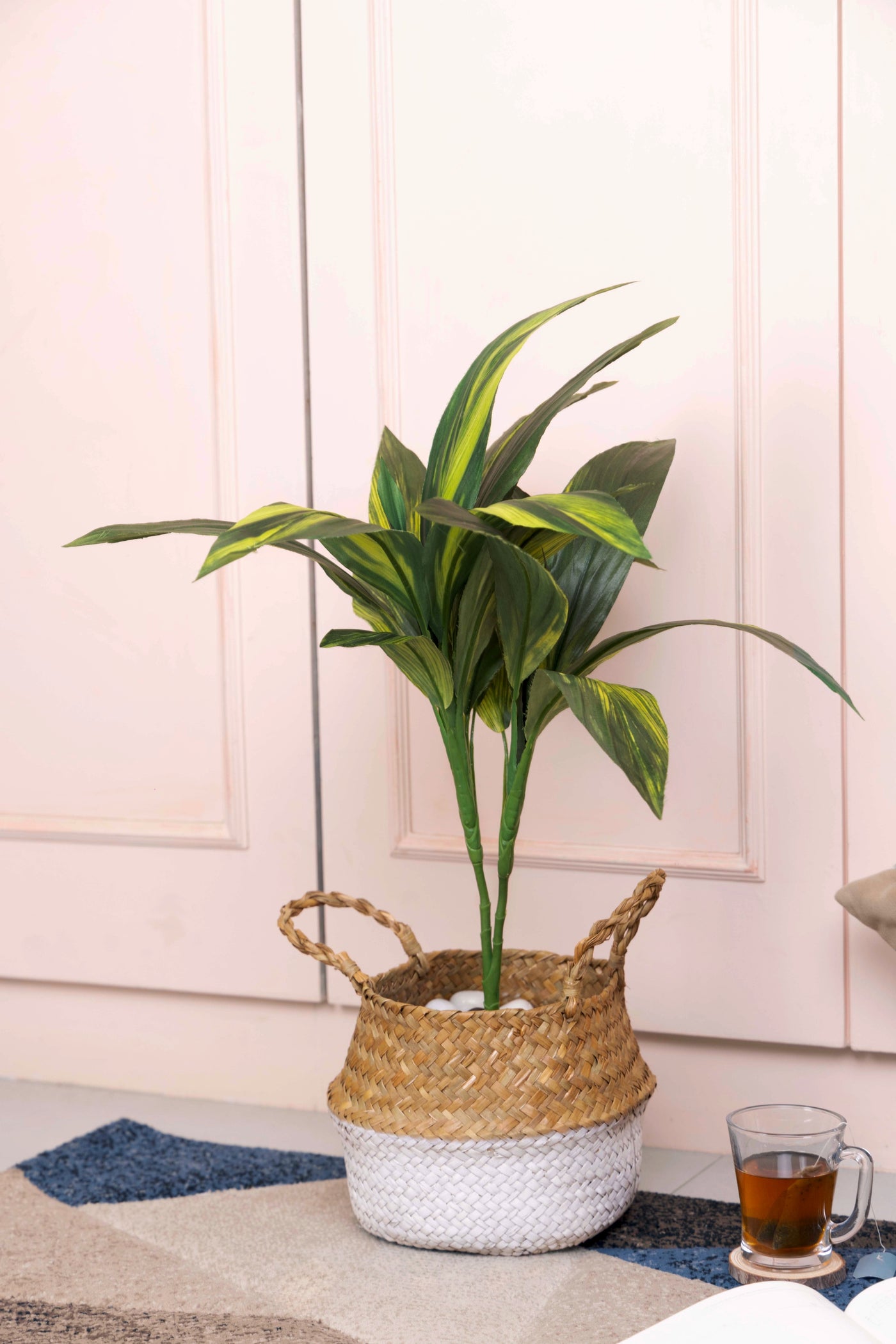 Pollination Real look  Stunning Artificial Dracaena Plant Without Pot (Pack of 1, 27 Inch)