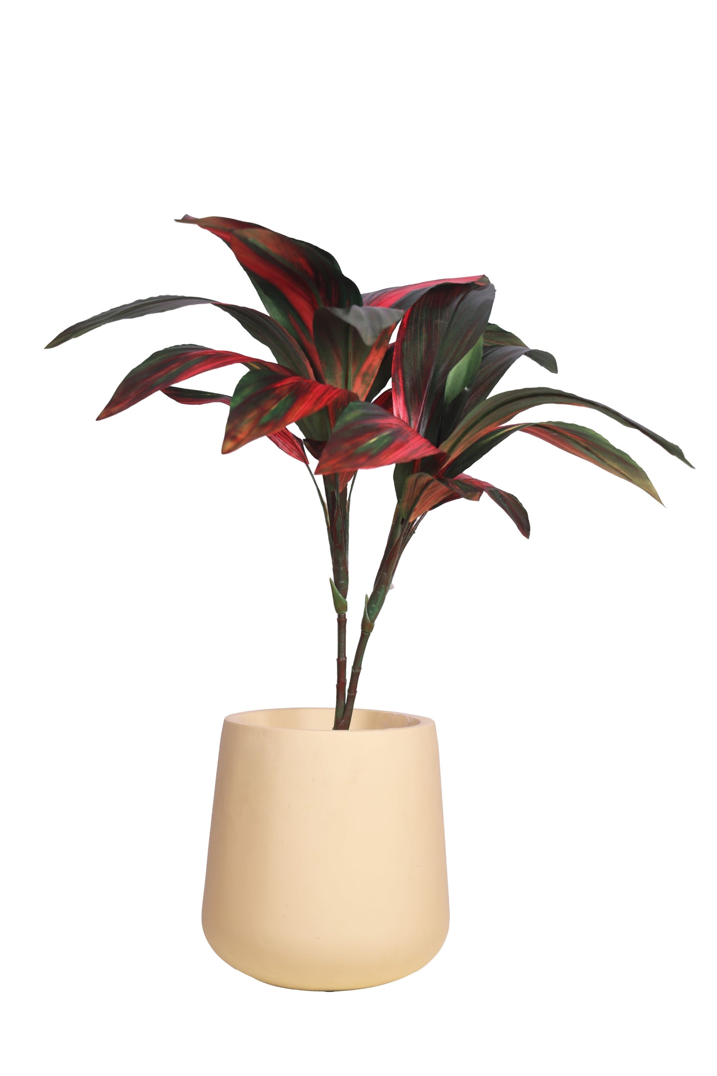 Pollination Real look  Stunning Artificial Dracaena Plant Without Pot (Pack of 1, 27 Inch)