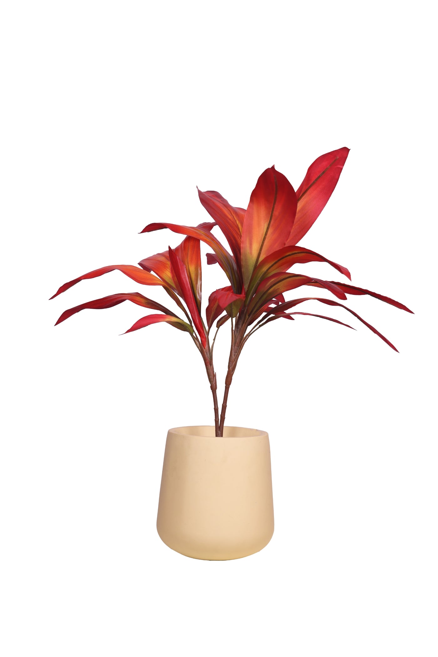 Pollination Real look  Stunning Artificial Dracaena Plant Without Pot (Pack of 1, 27 Inch)