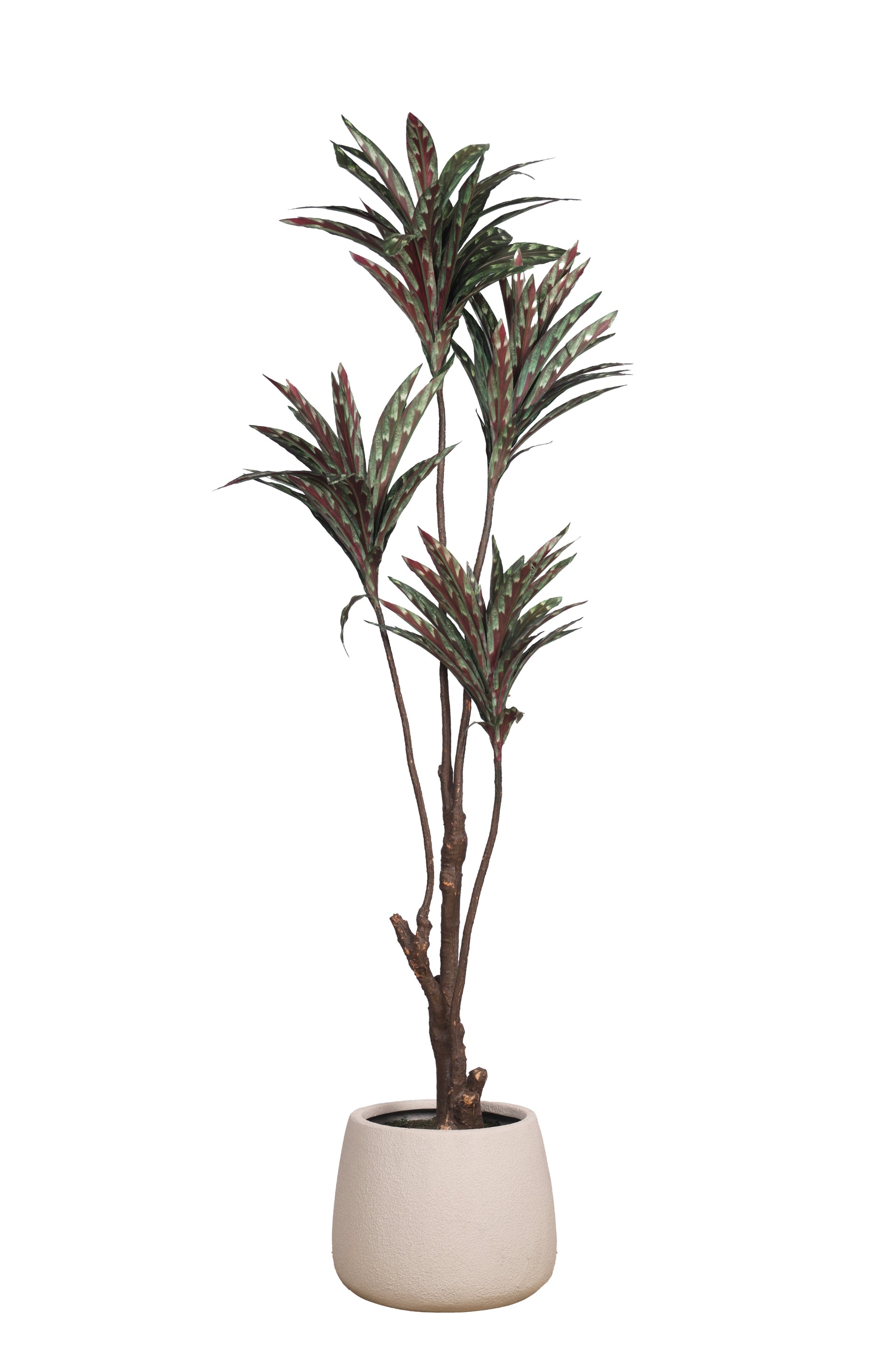 Pollination Decorative Artificial Dracaena Plant Without Pot (Pack of 1) 5FT