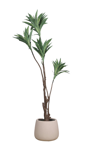 Pollination Decorative Artificial Dracaena Plant Without Pot (Pack of 1) 5FT