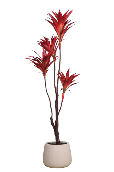 Pollination Decorative Artificial Dracaena Plant Without Pot (Pack of 1) 5FT