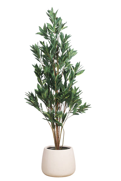 PolliNation Artificial Dracaena Plant Without Pot (Pack of 1) Green