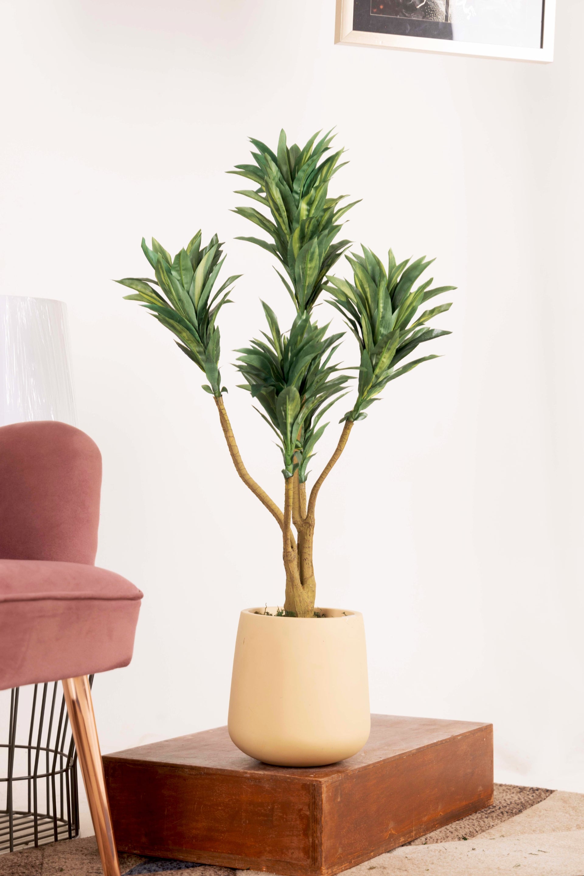 PolliNation Attractive Artificial Dracaena Plant Without Pot-Red