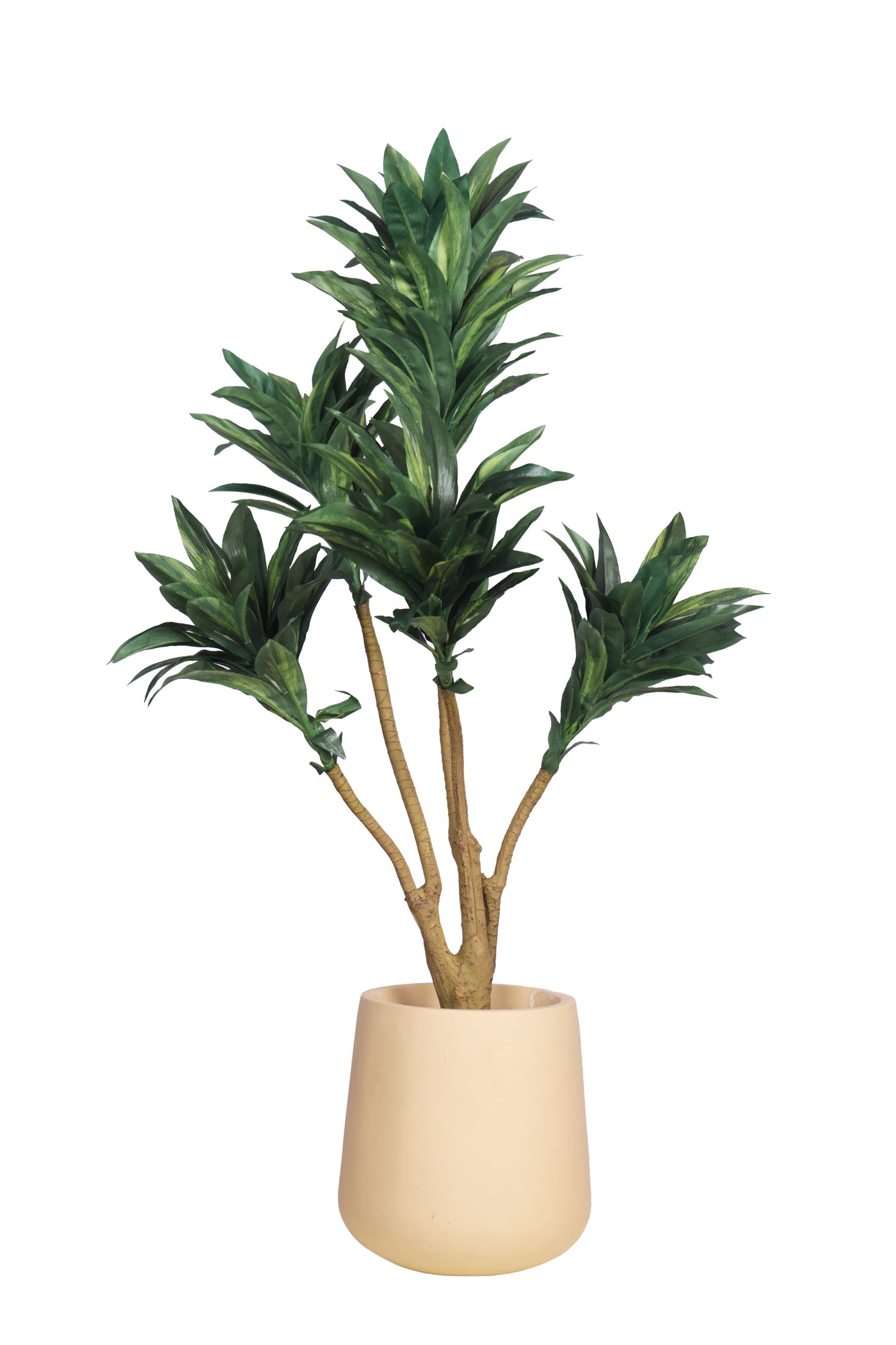 PolliNation Attractive Artificial Dracaena Plant Without Pot-Orange