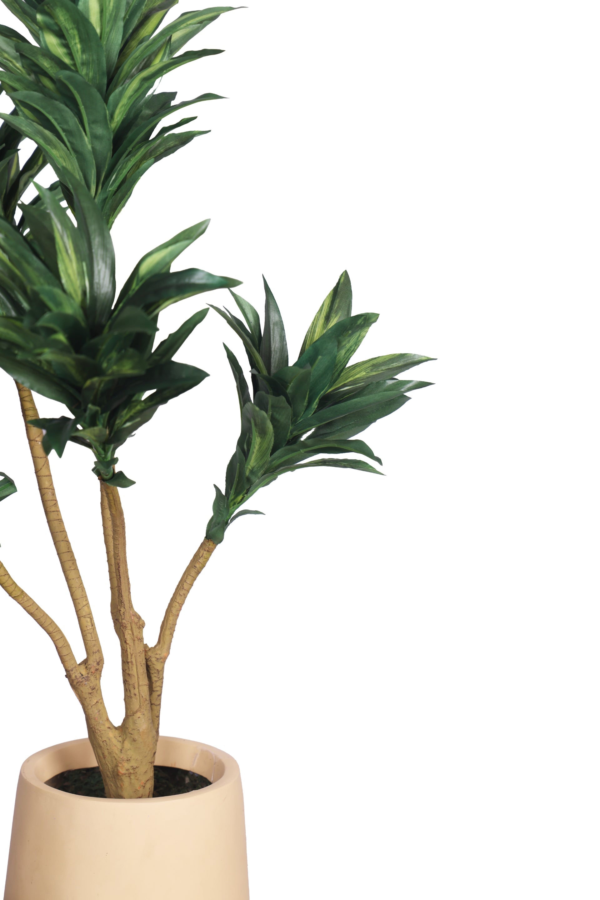 PolliNation Attractive Artificial Dracaena Plant Without Pot-Red