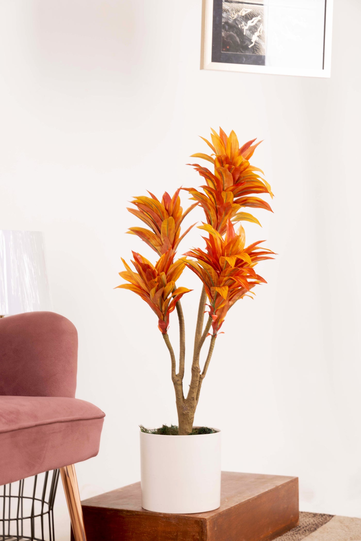 PolliNation Attractive Artificial Dracaena Plant Without Pot-Orange