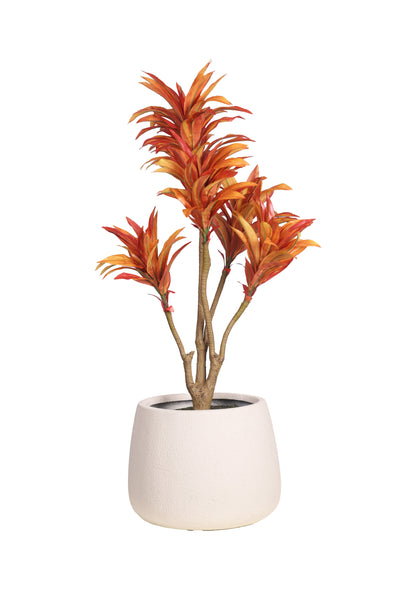 PolliNation Attractive Artificial Dracaena Plant Without Pot-Orange