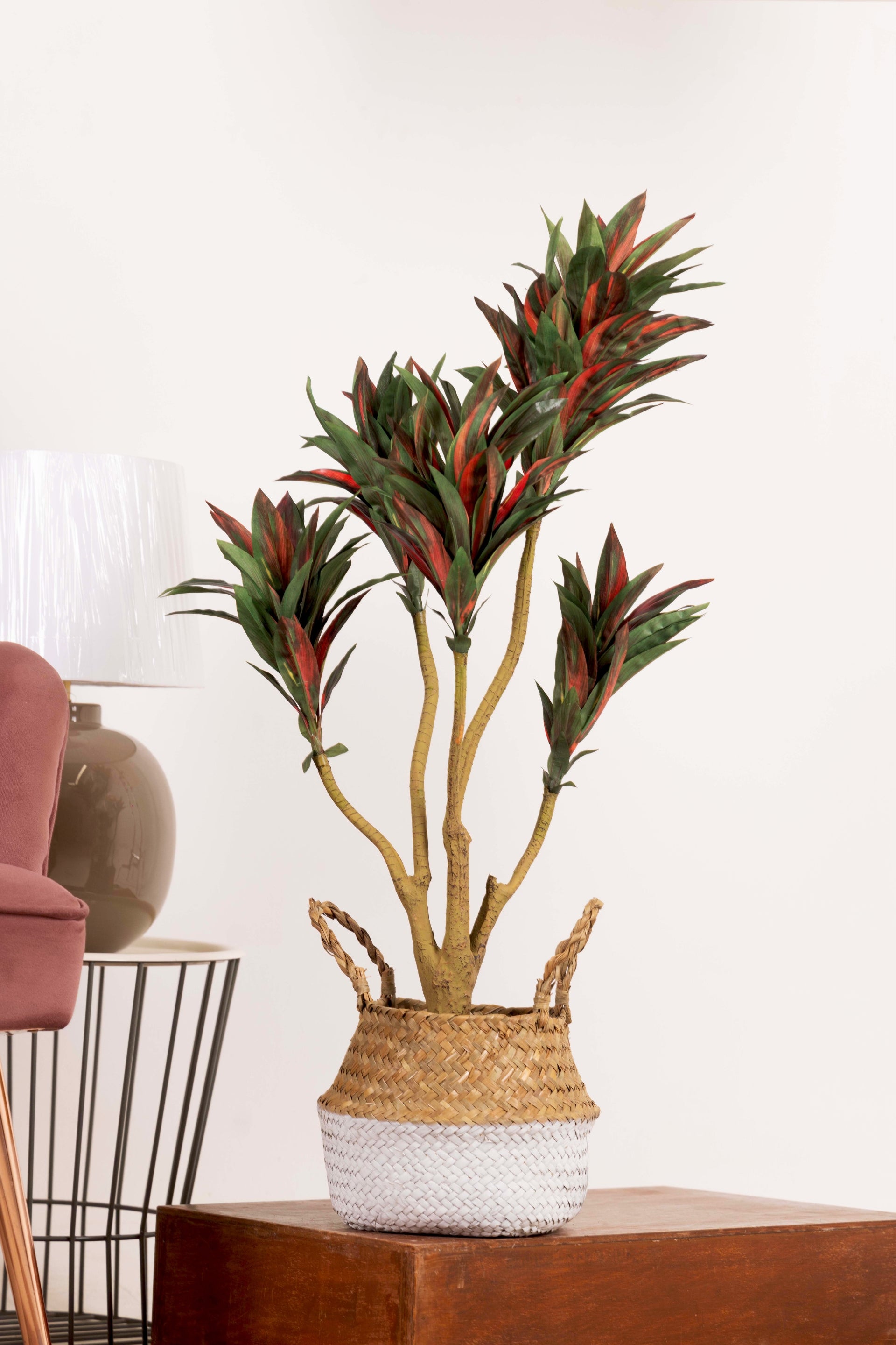 PolliNation Attractive Artificial Dracaena Plant Without Pot-Red