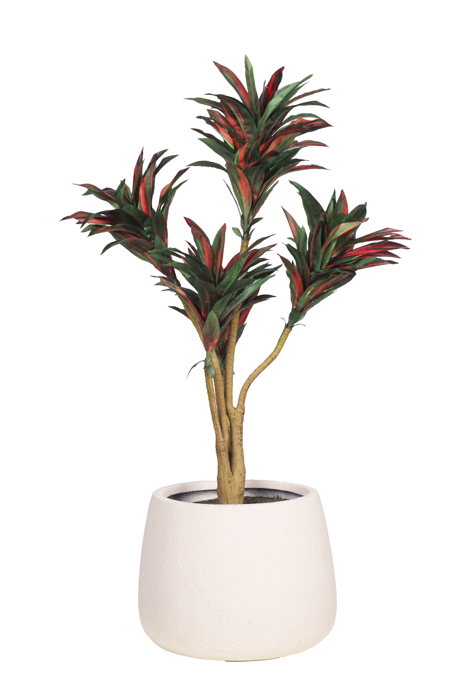PolliNation Attractive Artificial Dracaena Plant Without Pot-Red
