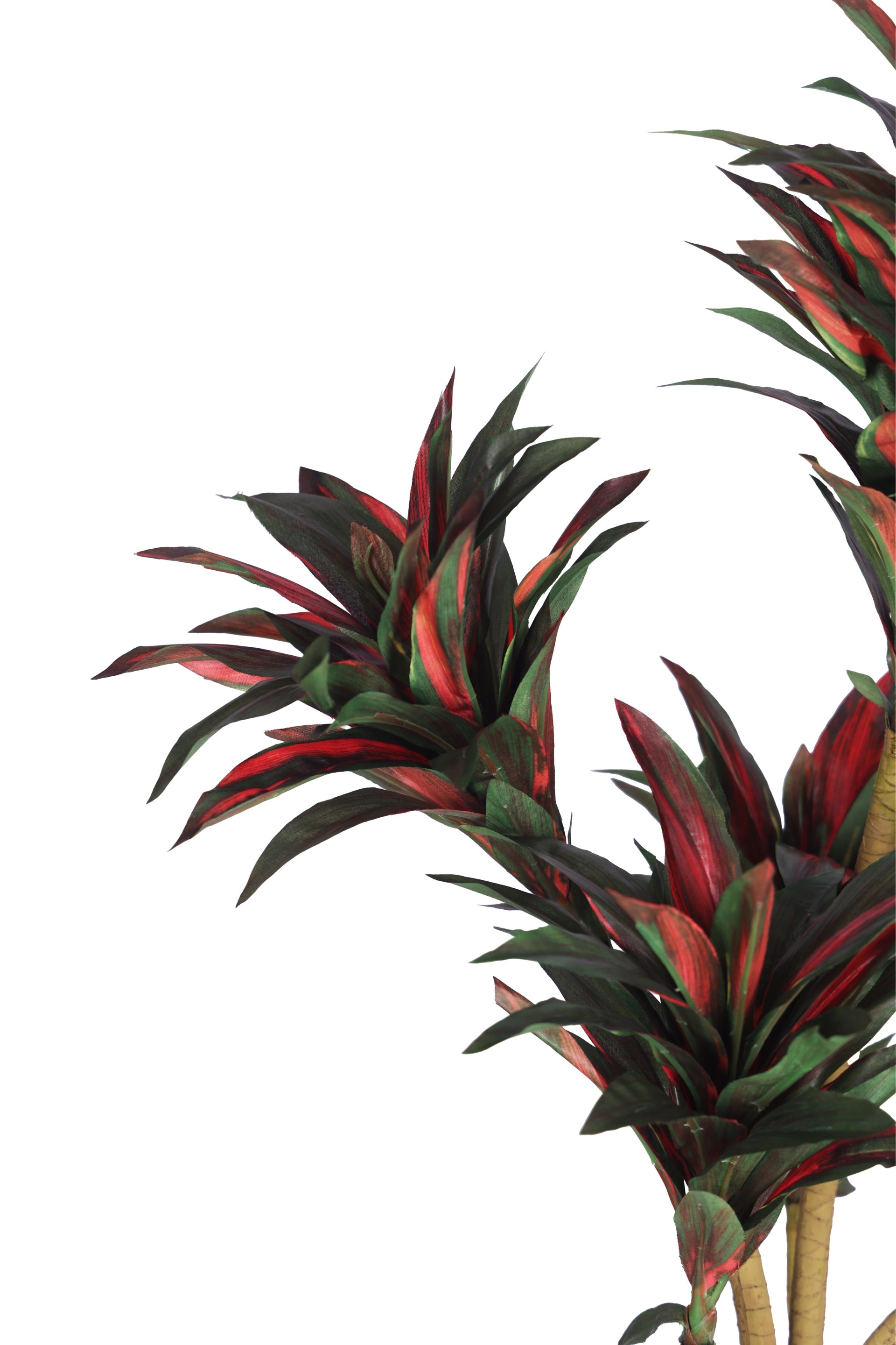 PolliNation Attractive Artificial Dracaena Plant Without Pot-Red