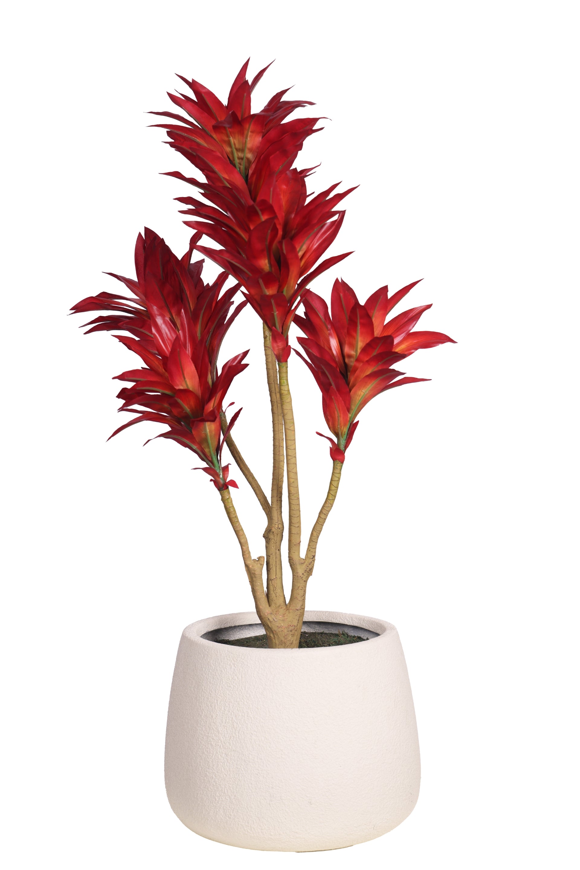 PolliNation Attractive Artificial Dracaena Plant Without Pot-Red