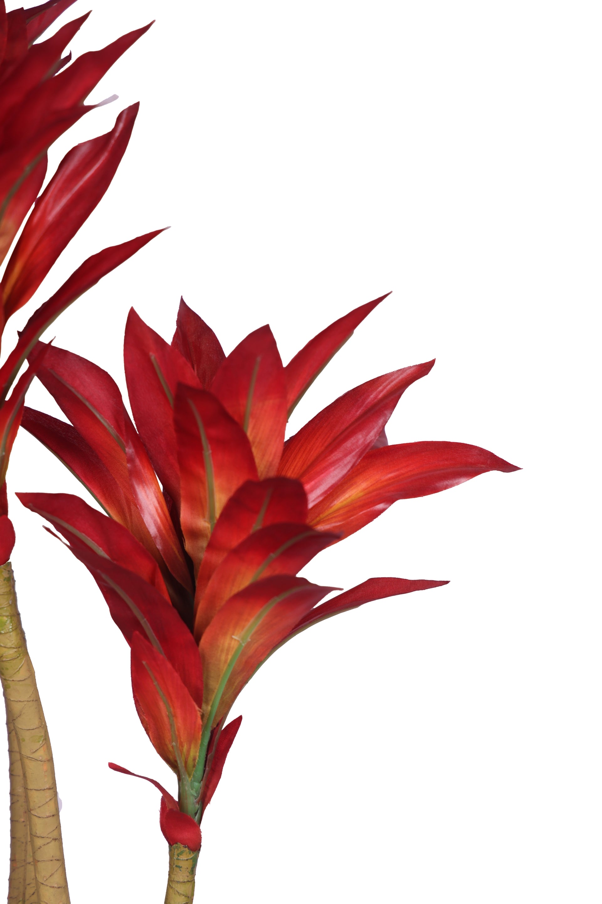 PolliNation Attractive Artificial Dracaena Plant Without Pot-Red