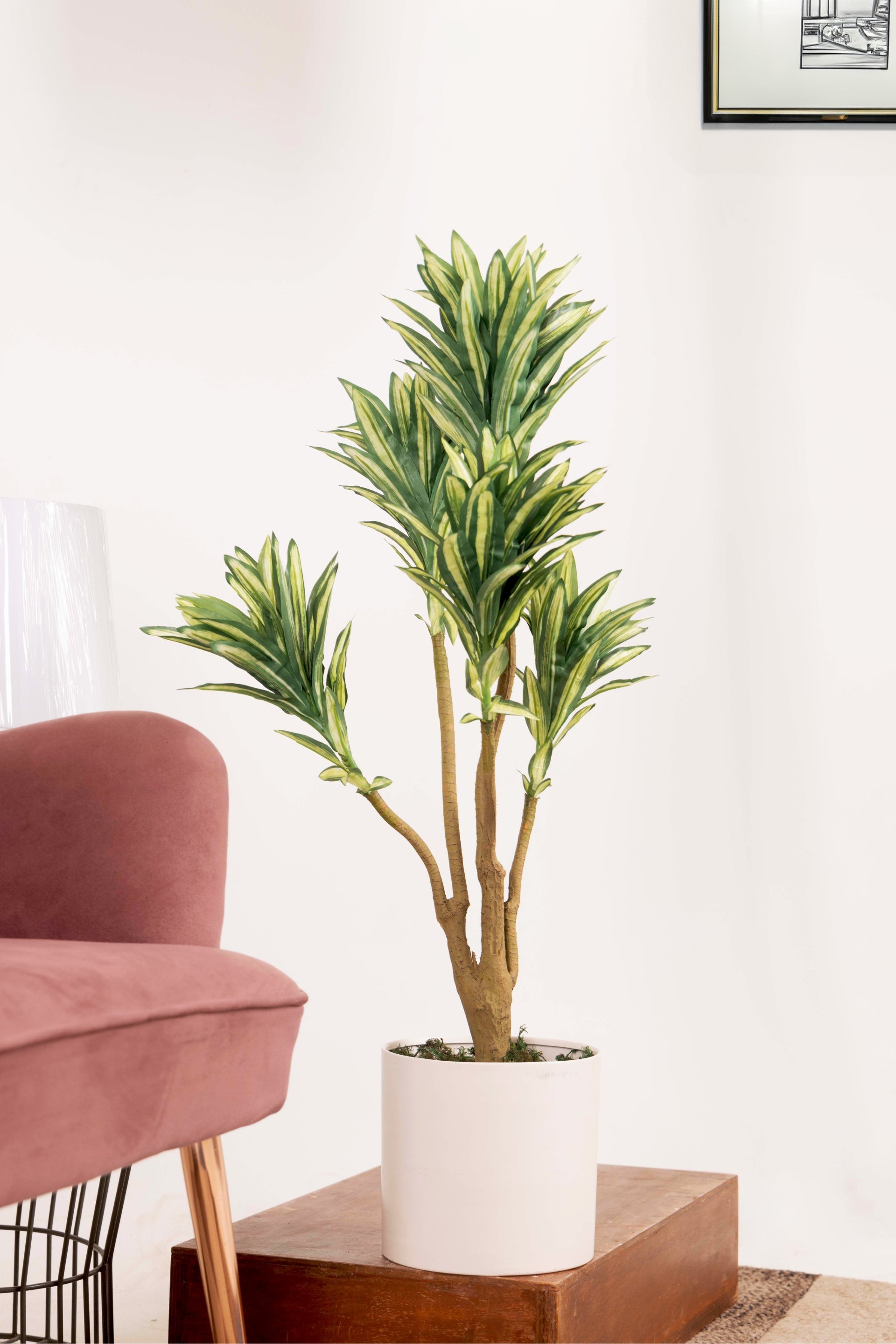 PolliNation Attractive Artificial Dracaena Plant Without Pot-Red