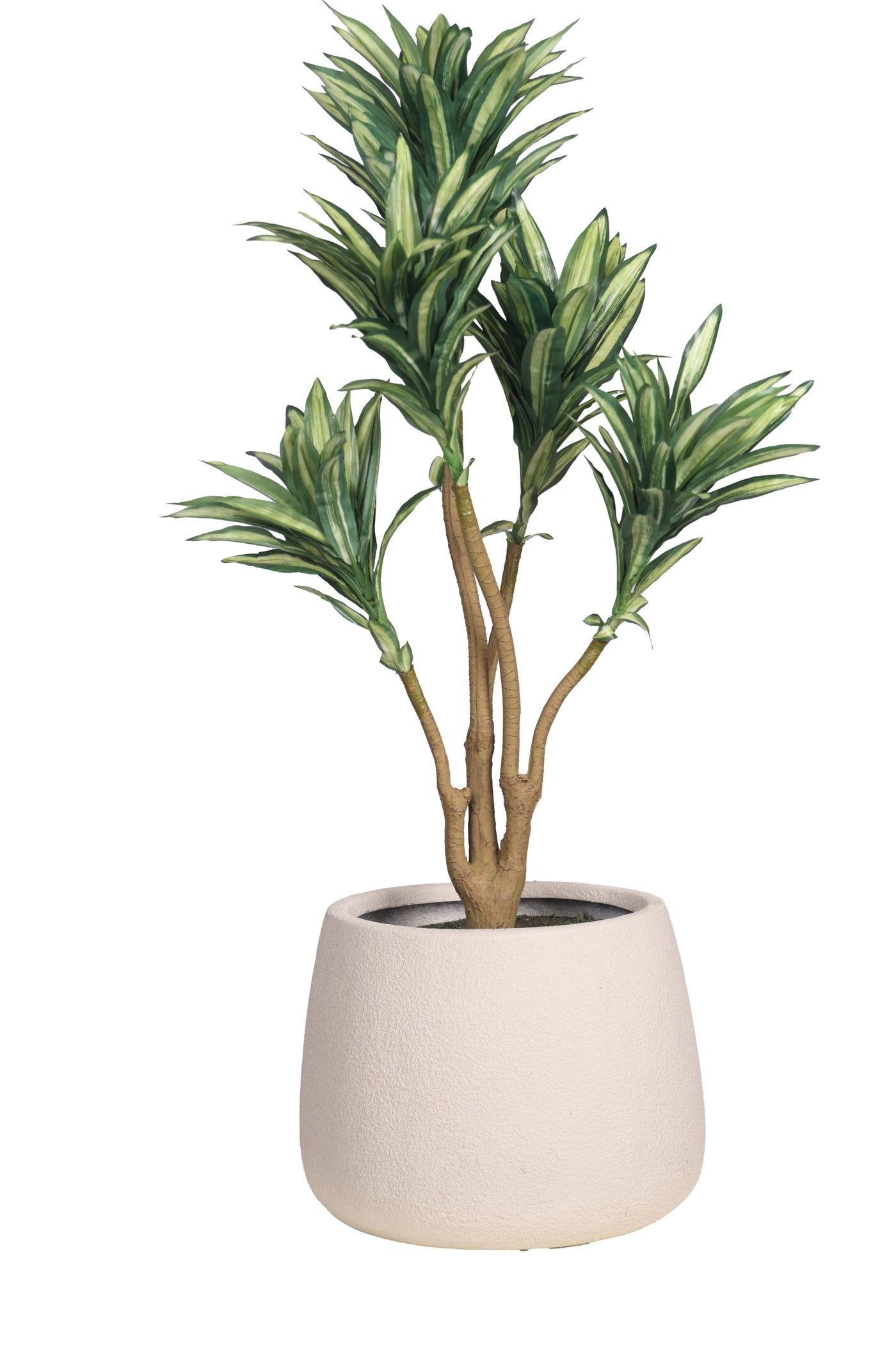 PolliNation Attractive Artificial Dracaena Plant Without Pot-Green