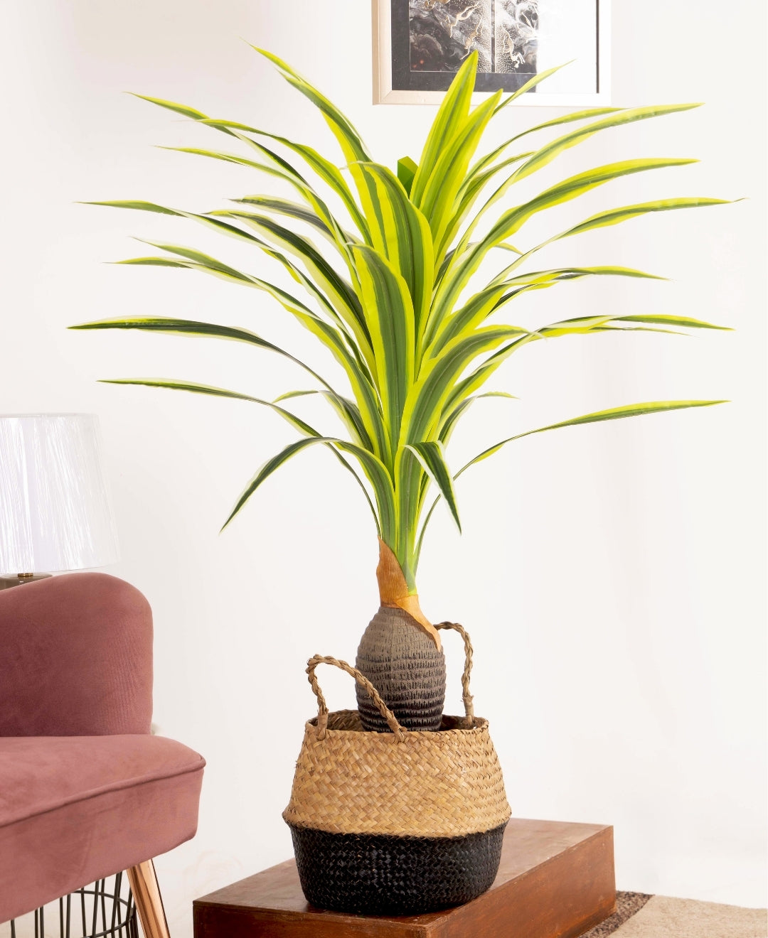 Aura Leaf Decorative Artificial Dracaena With Medium Size Leaves