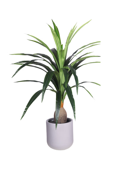 PolliNation Artificial Dracaena Plant With Medium Size Leaves (4 FT) Yellow