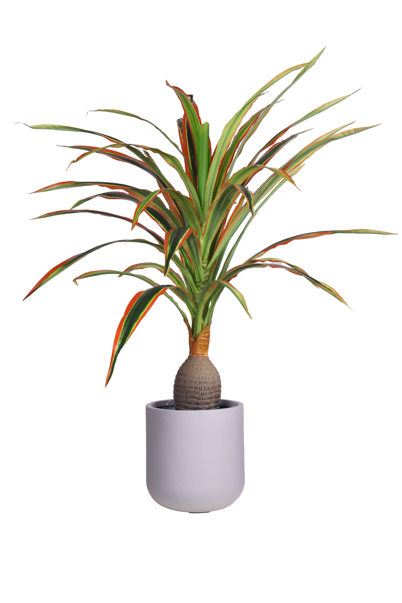 PolliNation Artificial Dracaena Plant With Medium Size Leaves (4 FT) Yellow