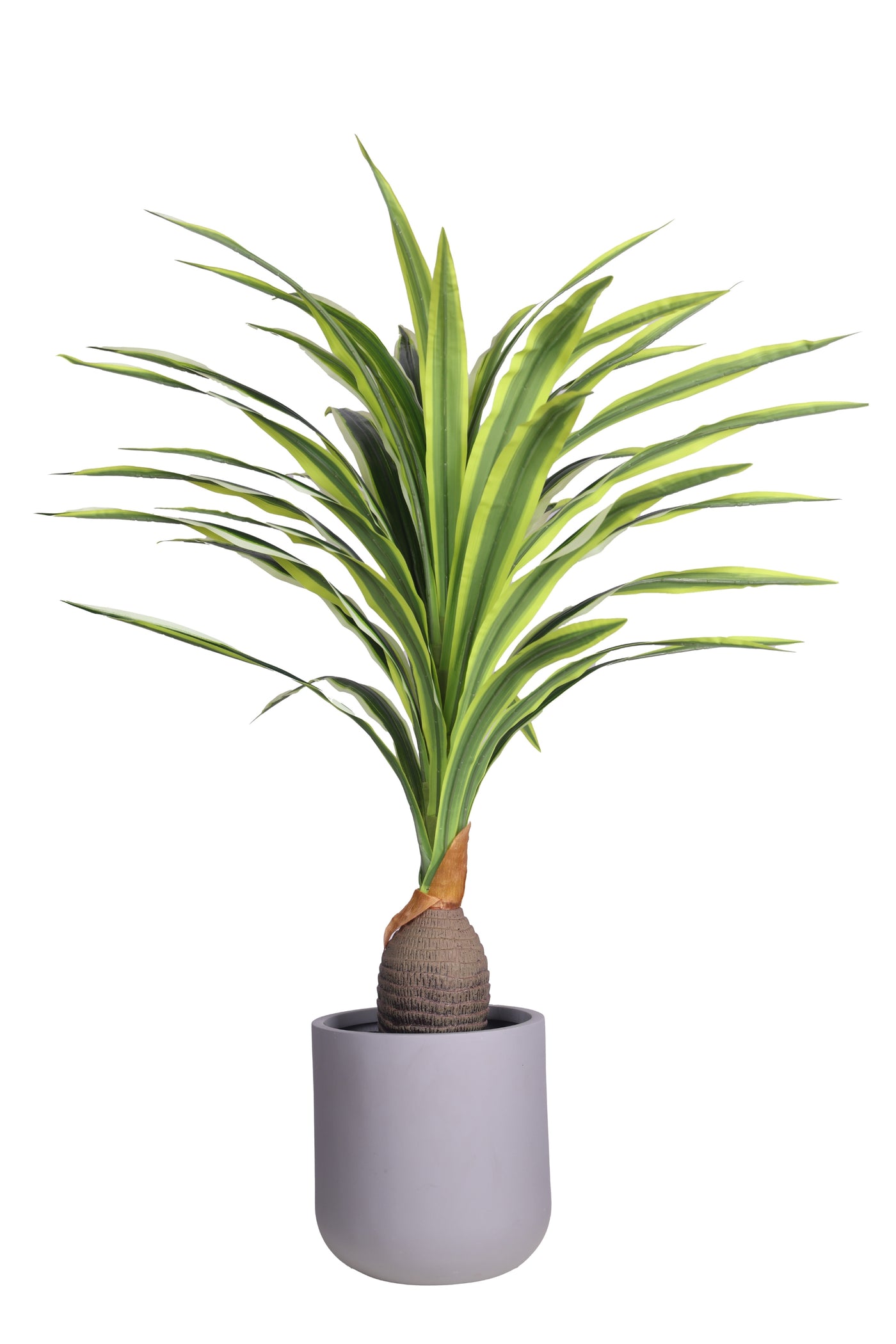 PolliNation Artificial Dracaena Plant With Medium Size Leaves (4 FT) Yellow