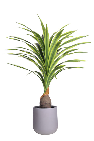 PolliNation Artificial Dracaena Plant With Medium Size Leaves (4 FT) Green