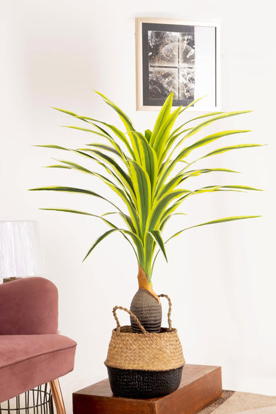 PolliNation Artificial Dracaena Plant With Medium Size Leaves (4 FT) Yellow