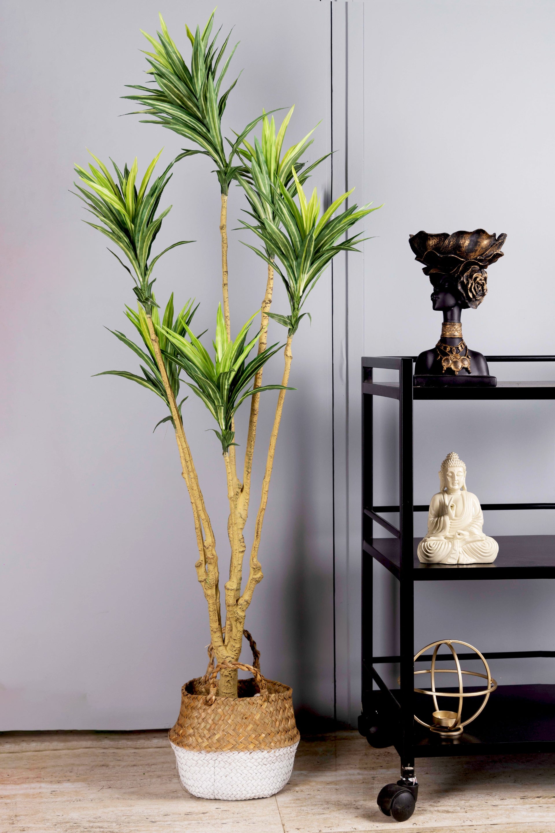 PolliNation Attractive Artificial Dracaena Plant Without Pot-Yellow