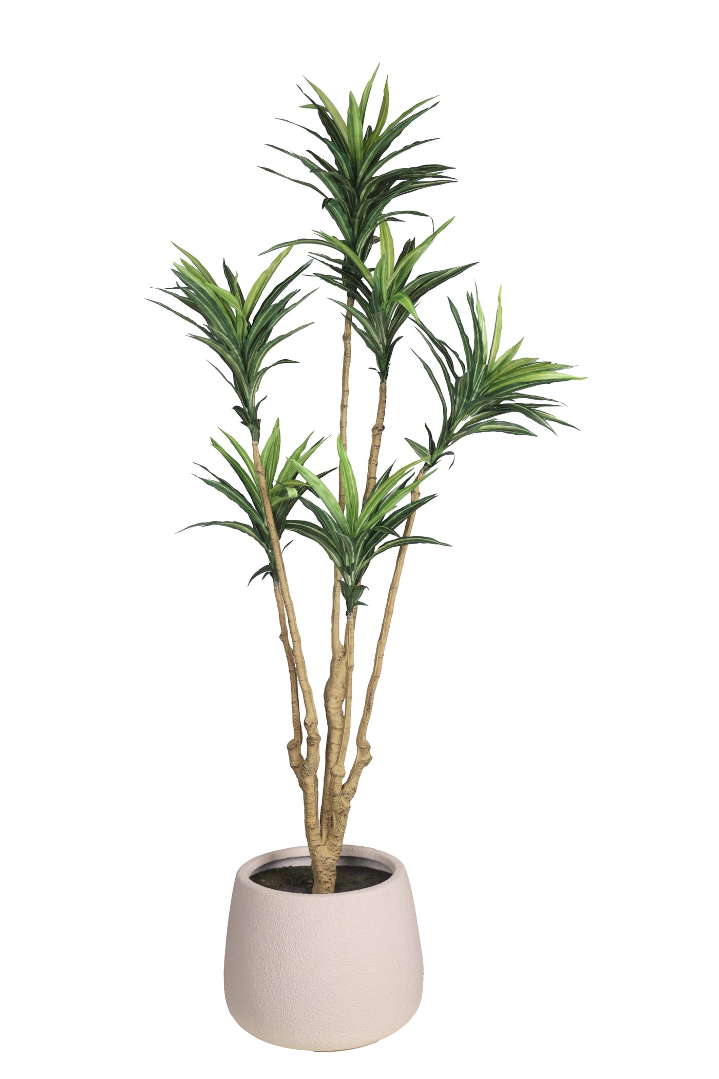 PolliNation Attractive Artificial Dracaena Plant Without Pot-Yellow