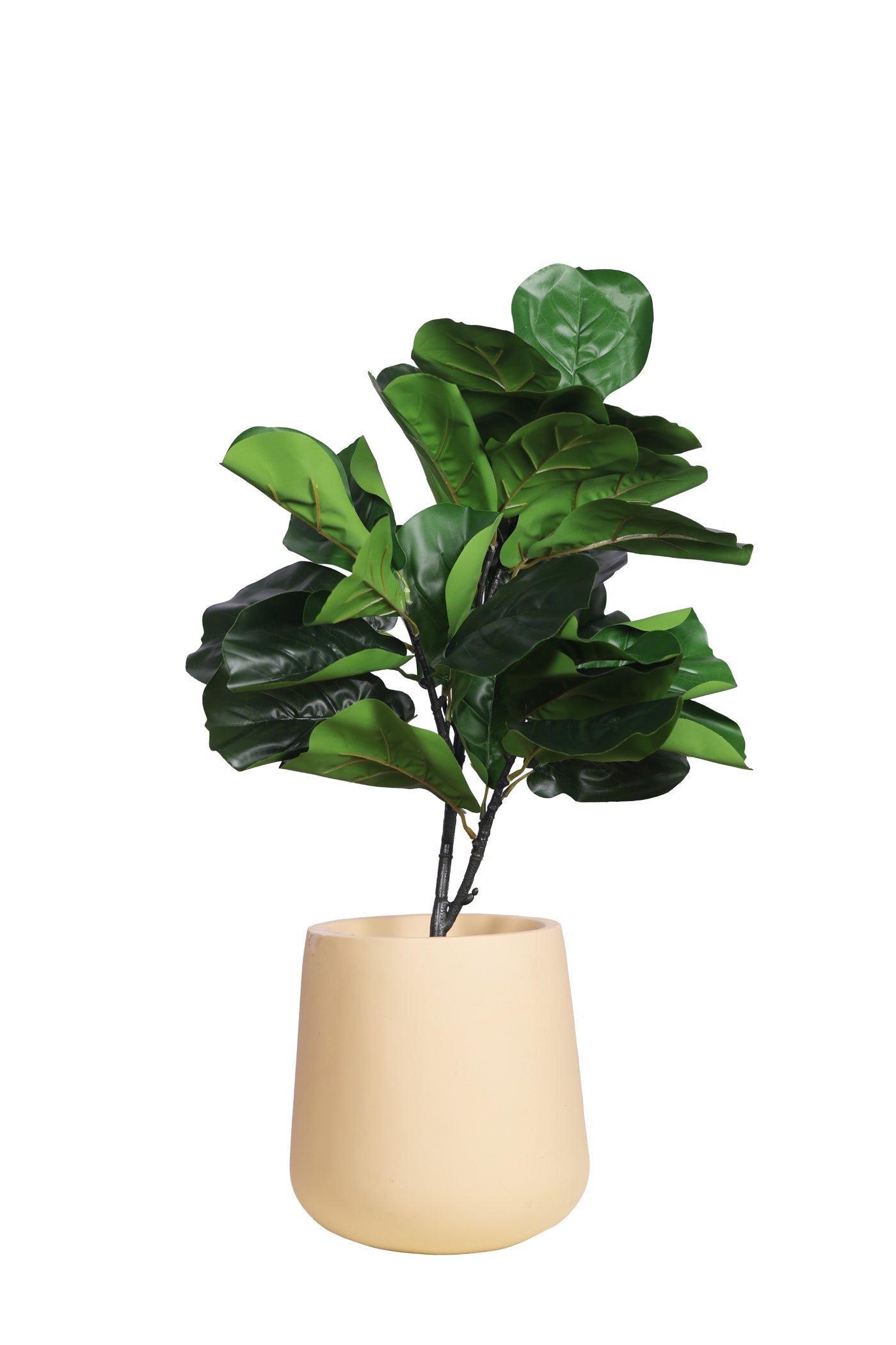 PolliNation Artificial Medium Fiddle Leaf Plant Without Pot (2 FT, 30 Leaves)