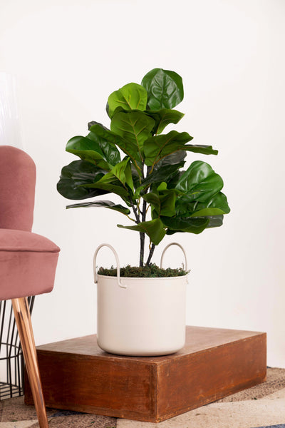 PolliNation Artificial Medium Fiddle Leaf Plant Without Pot (2 FT, 30 Leaves)