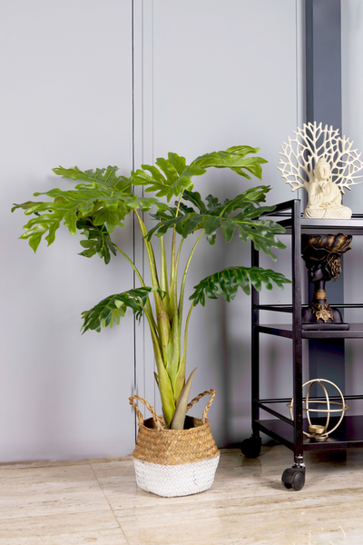 PolliNation Artificial HPhilo Plant - Elevate Your Space with Timeless Greenery