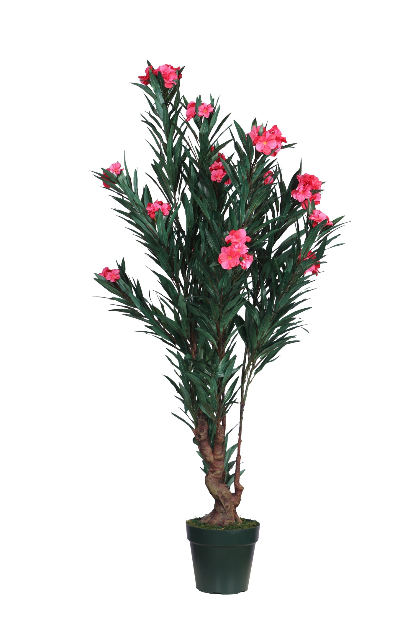 PolliNation Artificial Oleander (OLEANPINK) Plant -Brighten Your Space with Vibrant White Blooms