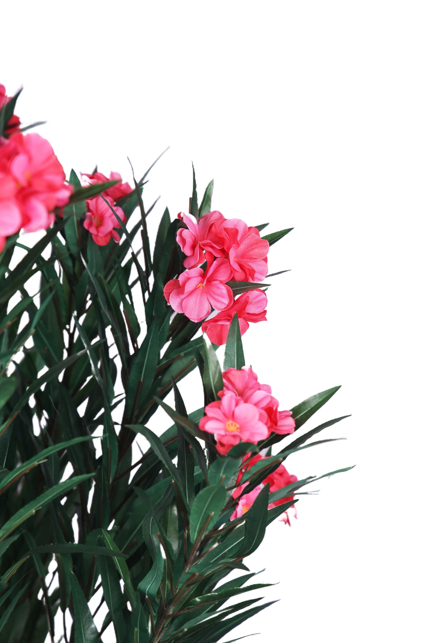 PolliNation Artificial Oleander (OLEANPINK) Plant -Brighten Your Space with Vibrant Pink Blooms