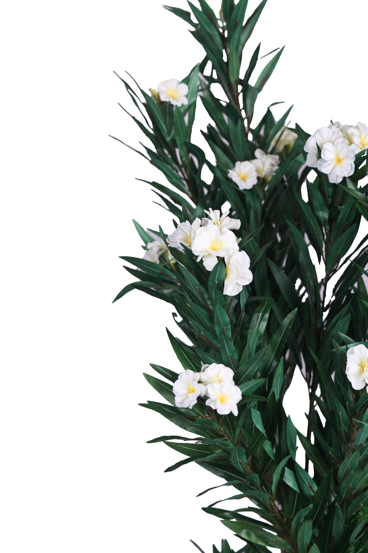 PolliNation Artificial Oleander (OLEANPINK) Plant -Brighten Your Space with Vibrant White Blooms