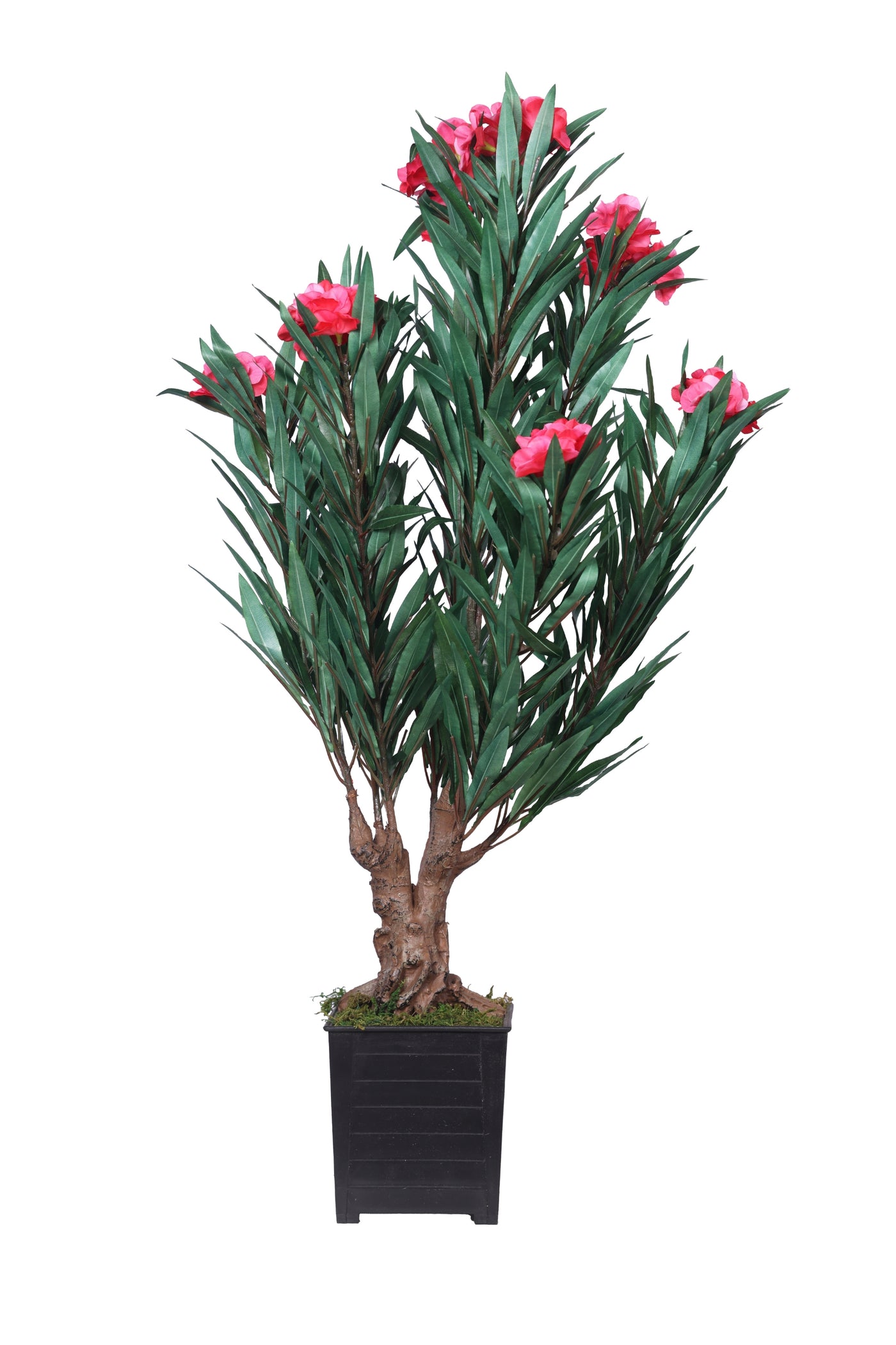 PolliNation Artificial Oleanpink Plants for Home Decoration (Pack of 1) Pink