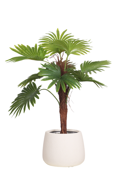 PolliNation Artificial Raffix Palm Plant - Infuse Your Space with Tropical Serenity-3FT