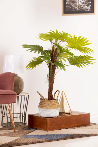 PolliNation Artificial Raffix Palm Plant - Infuse Your Space with Tropical Serenity-3FT