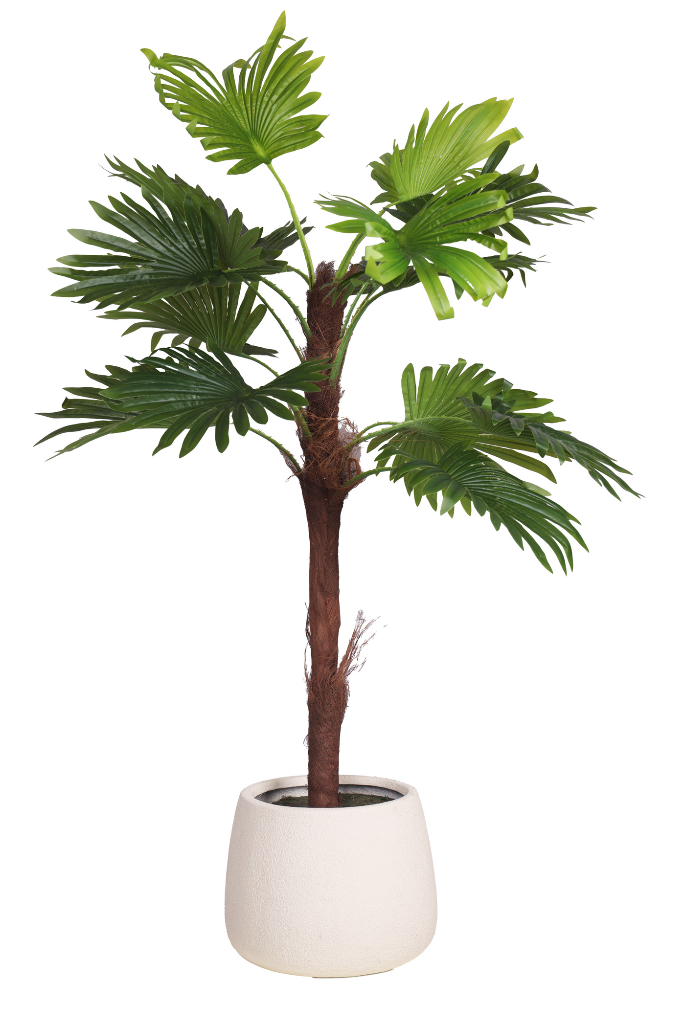 PolliNation Artificial Raffix Palm Plant-Infuse Your Space with Tropical Serenity-4 FT