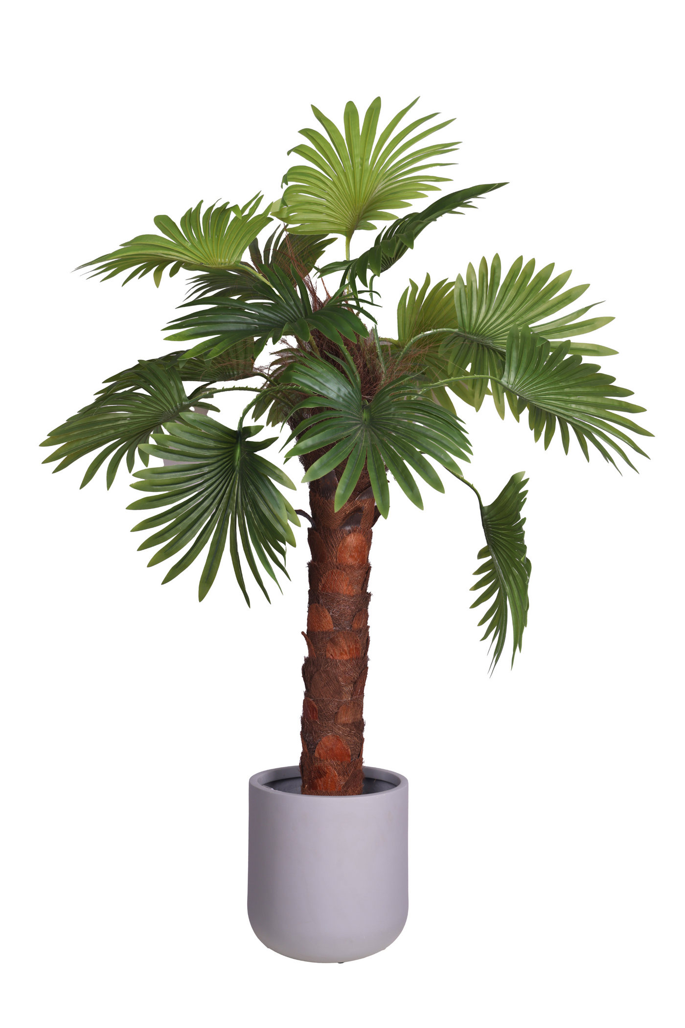 PolliNation Artificial Raffix Palm Plant-Infuse Your Space with Tropical Serenity-4 FT