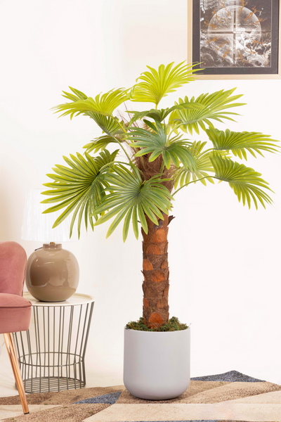 PolliNation Artificial Raffix Palm Plant-Infuse Your Space with Tropical Serenity-4 FT