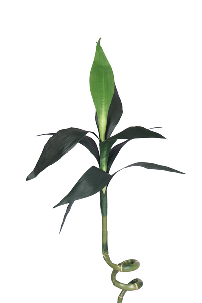 PolliNation Artificial Spiral Bamboo Plant - Elegance & Serenity To Any Space- 4FT