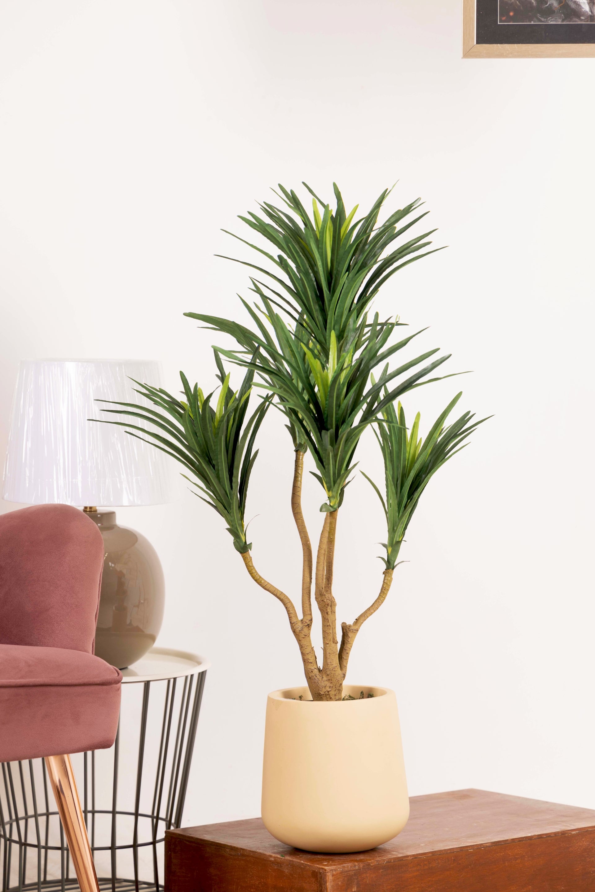 Artificial Yucca Plant Without Pot (Pack of 1) White