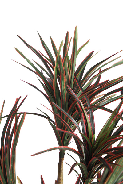 Artificial Yucca Plant Without Pot (Pack of 1) Red