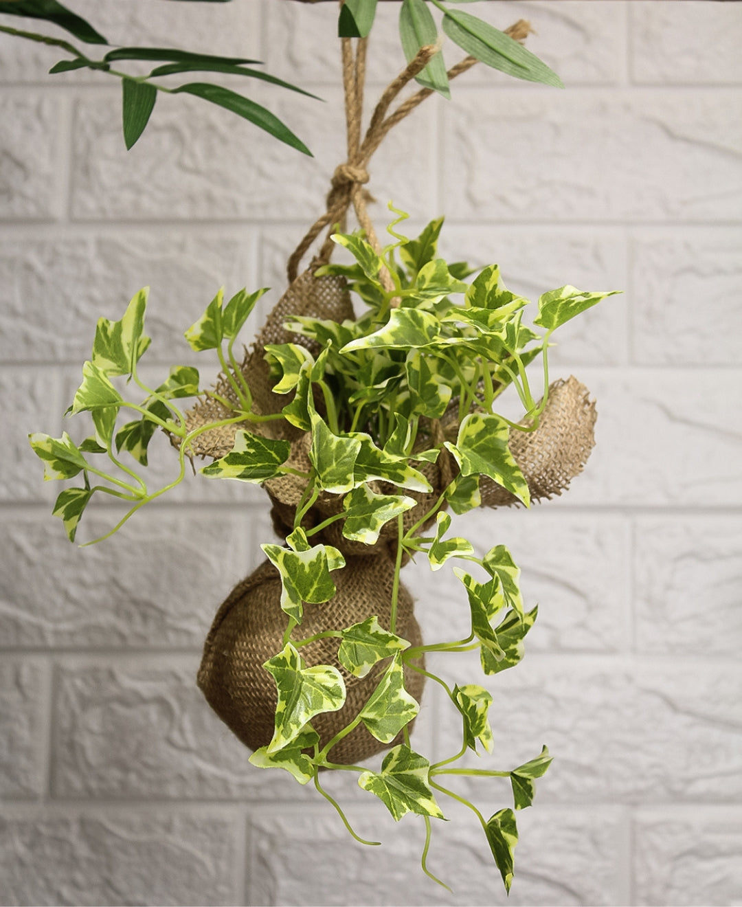 Hanging Ivy Creeper In Jute Bag Elegance That Elevates Your Space