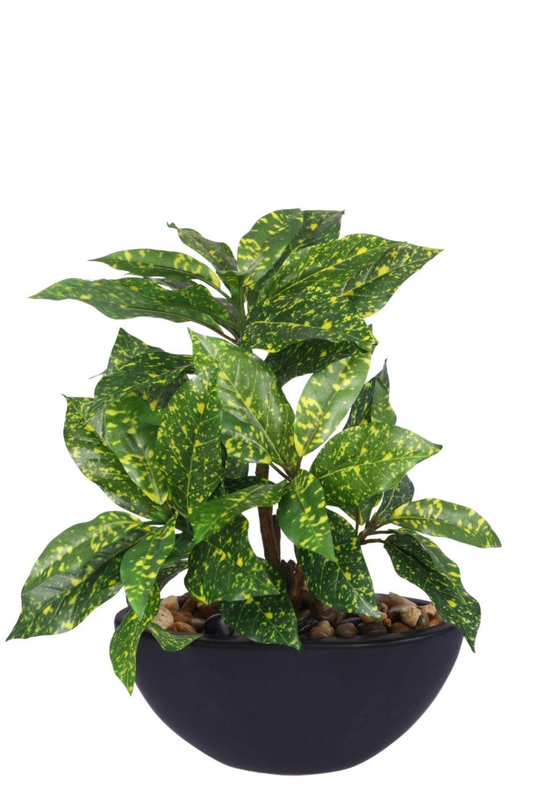 Everlasting Bonsai  A Touch of  Serenity