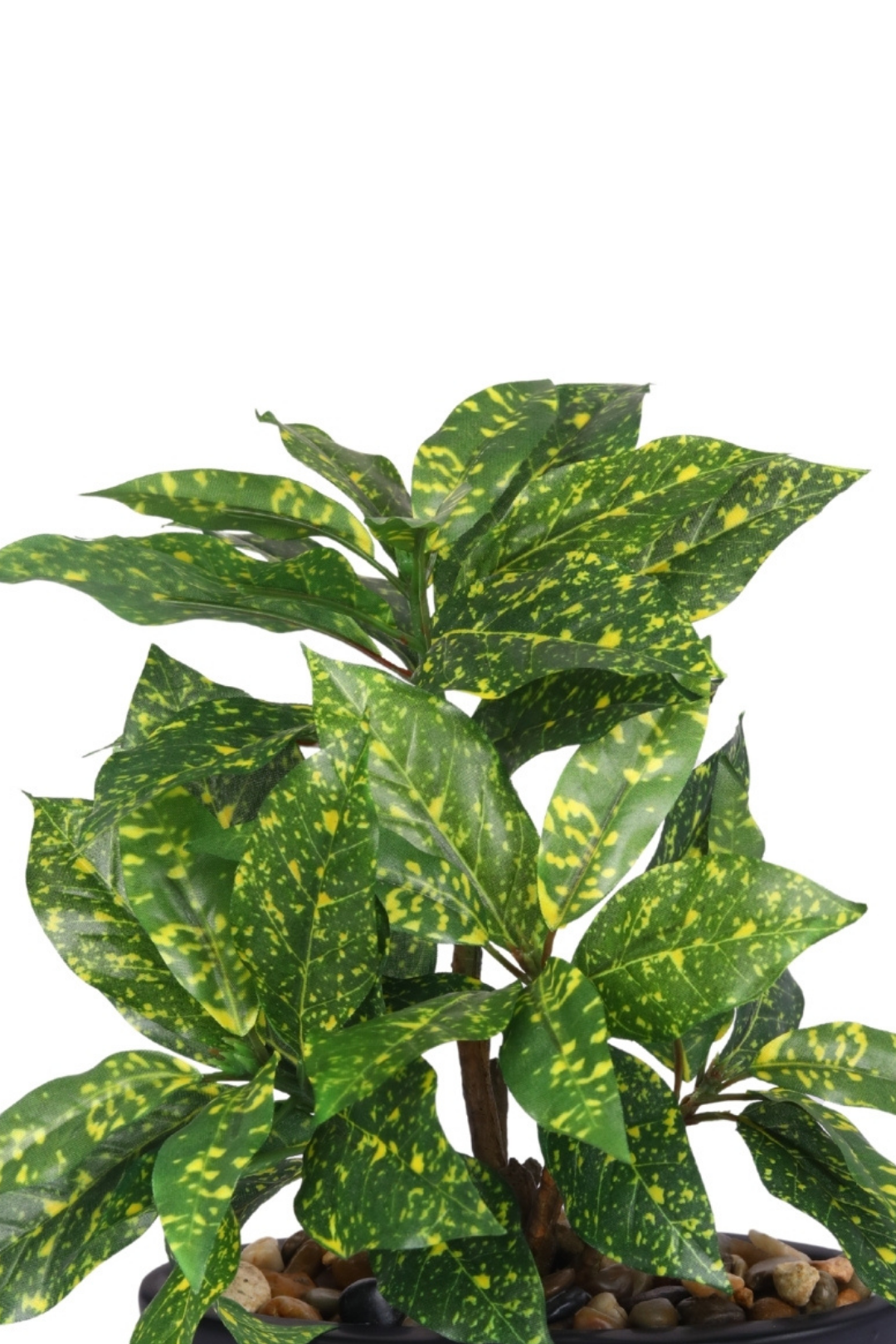 Everlasting Bonsai  A Touch of  Serenity