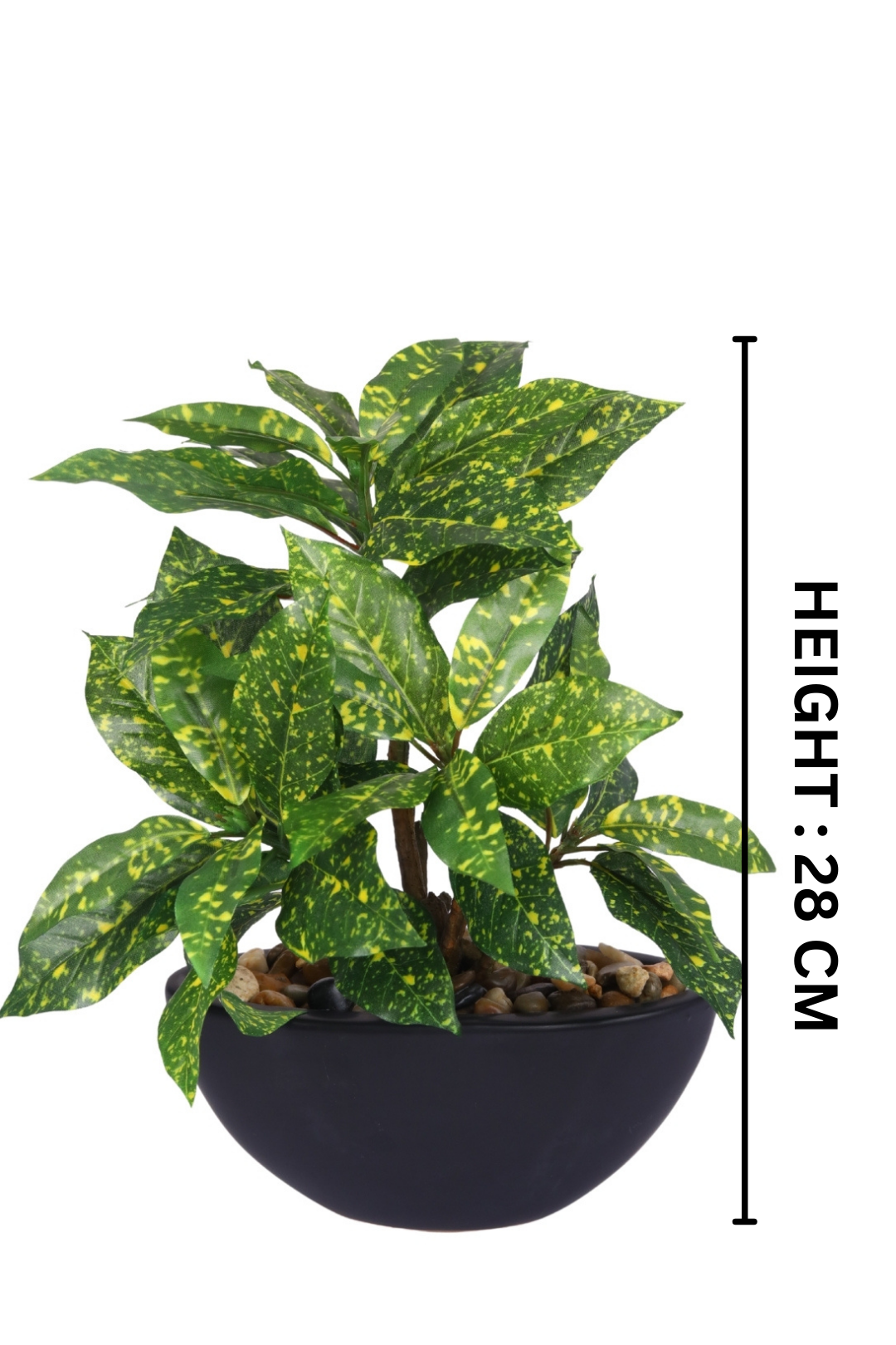 Everlasting Bonsai  A Touch of  Serenity