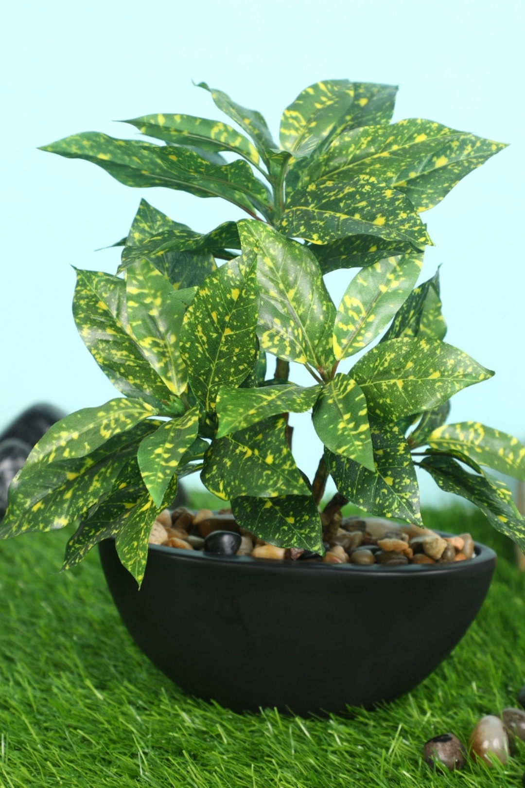 Everlasting Bonsai  A Touch of  Serenity