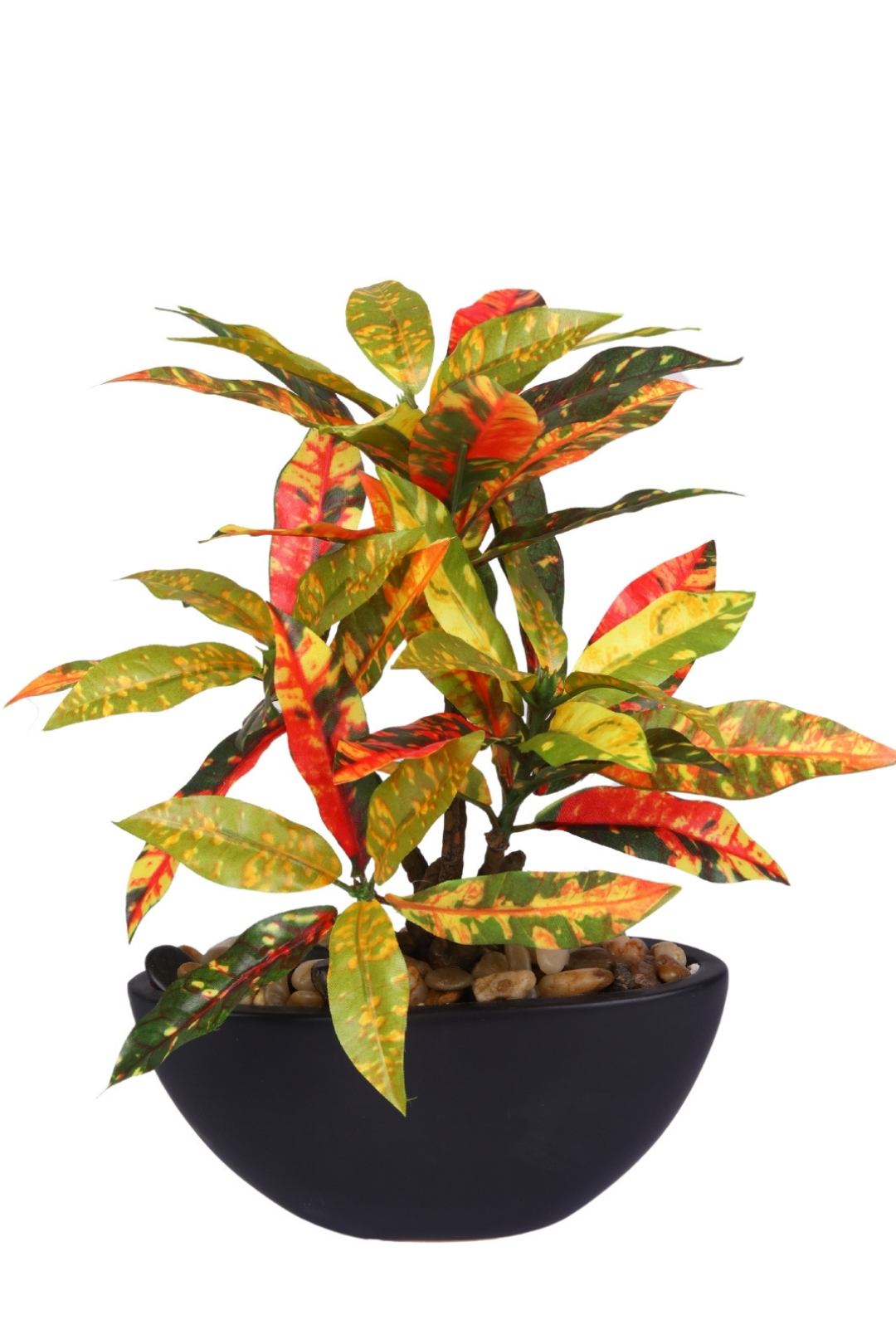 Everlasting Bonsai  A Touch of  Serenity