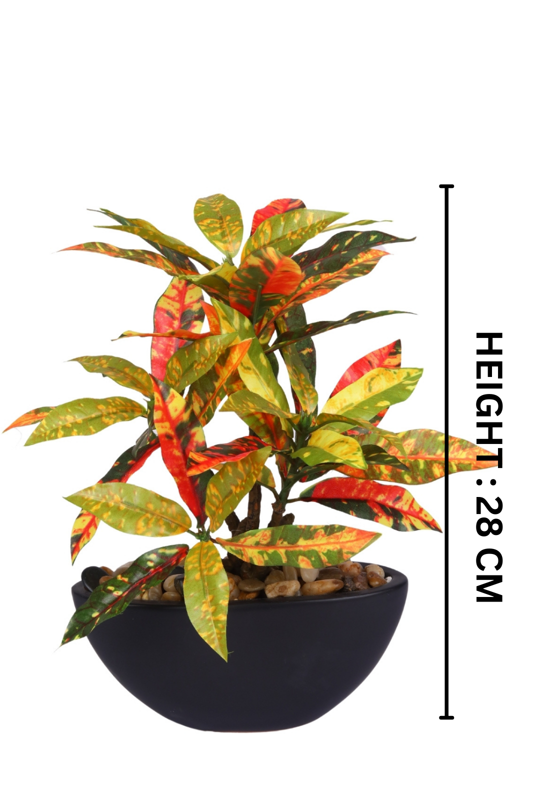 Everlasting Bonsai  A Touch of  Serenity