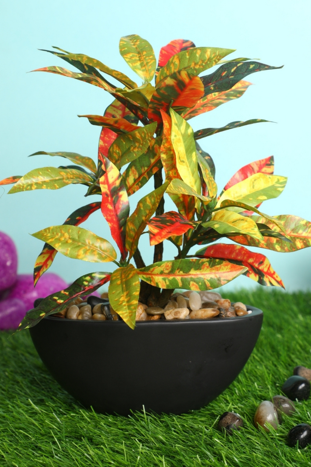 Everlasting Bonsai  A Touch of  Serenity